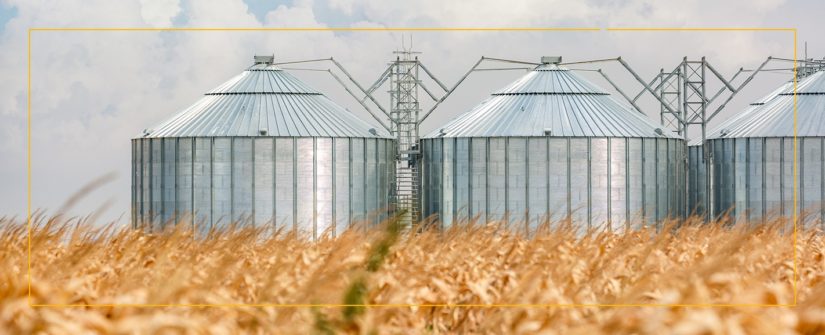 The Grain Farming Process