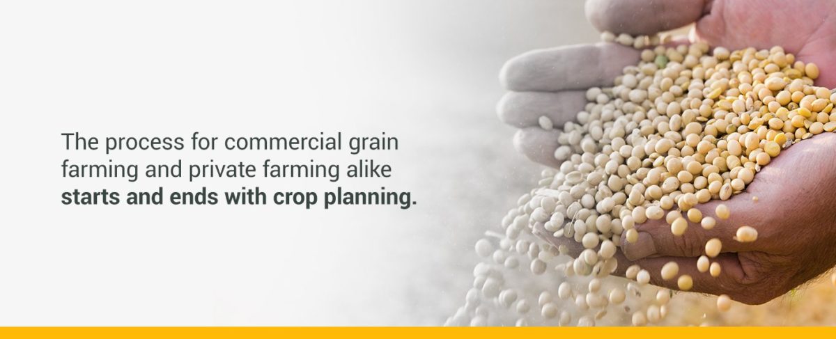 The Process of Grain Farming