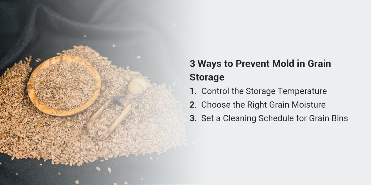 3-ways-to-prevent-mold-in-grain-storage