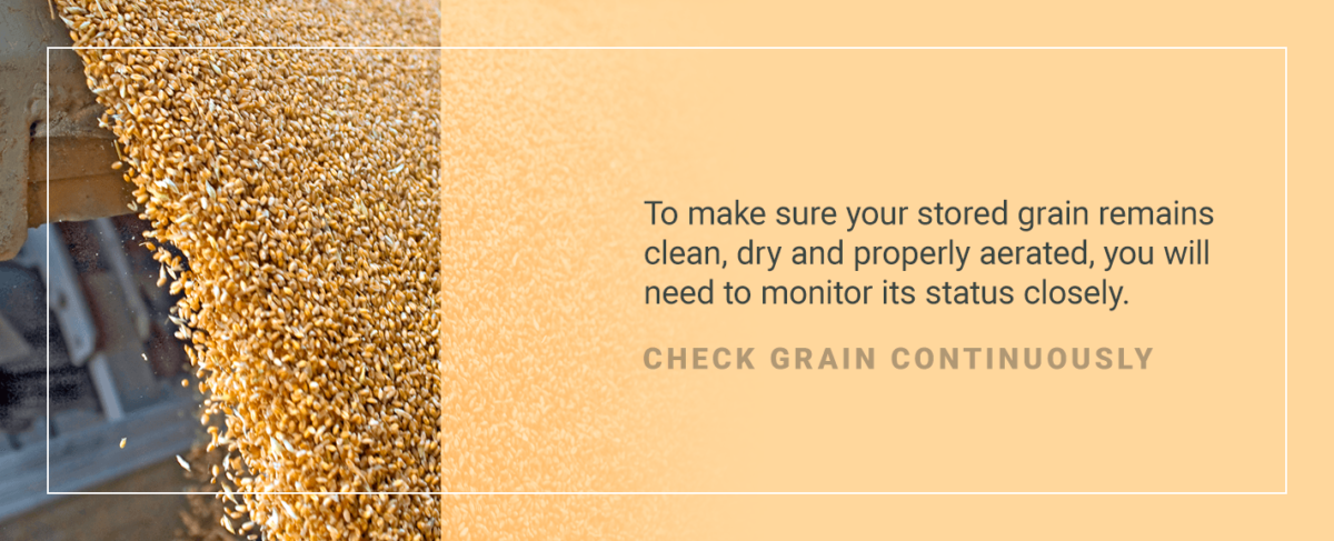 Clean Grain Before Storage