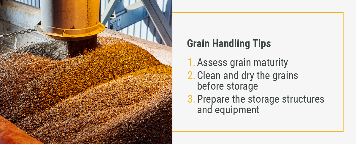 grain handling tips