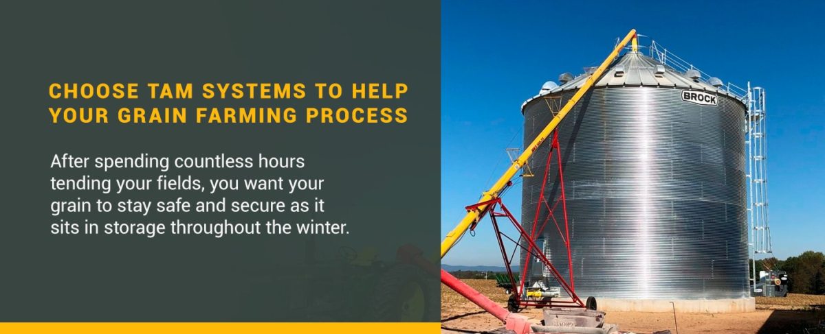 TAM Can Help Your Grain Farming Process