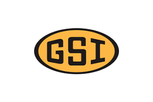 Logo: GSI