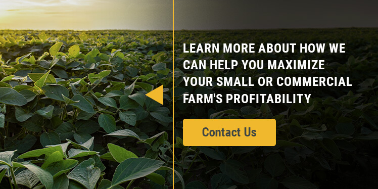 Maximize Crop Profitability With TAM Systems Grain Storage Systems